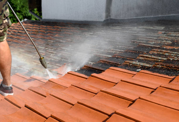 Best Pressure Washing Company Near Me  in Newark, IL
